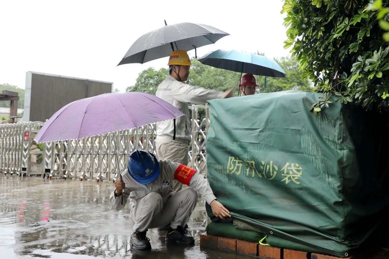 1718845007660001646.jpg 桂冠.jpg